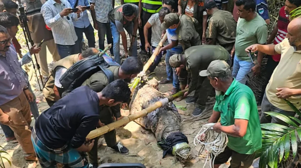 রংপুরে বিষাক্ত অ্যালকোহল পানে প্রাণ গেল ৫ জনের